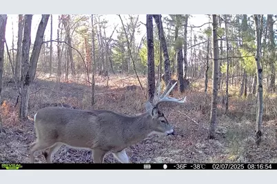 33486 Driftwood Avenue #B, Warrens,warrens, WI 54666 - Photo 68