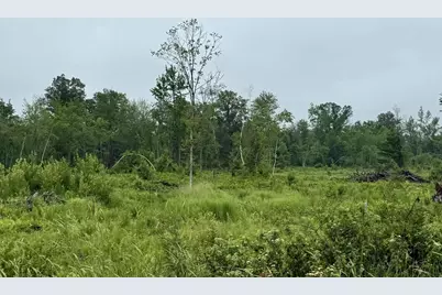 33486 Driftwood Avenue #B, Warrens,warrens, WI 54666 - Photo 54