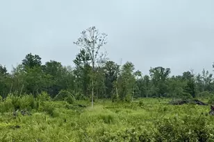 33486 Driftwood Ave, Warrens,warrens, WI 54666 - Photo 54