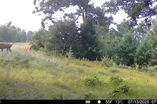 33486 Driftwood Ave, Warrens,warrens, WI 54666 - Photo 66