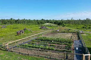 33486 Driftwood Ave, Warrens,warrens, WI 54666 - Photo 64