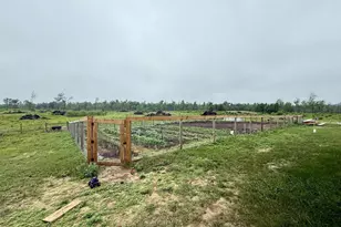 33486 Driftwood Ave, Warrens,warrens, WI 54666 - Photo 46