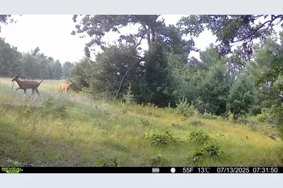 33486 Driftwood Avenue, Warrens,warrens, WI 54666 - Photo 62