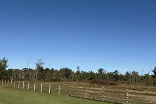 33486 Driftwood Ave, Warrens,warrens, WI 54666 - Photo 76