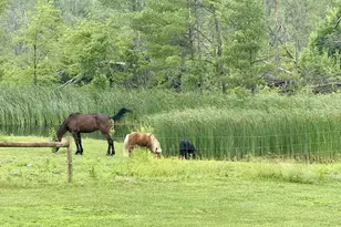 33486 Driftwood Ave, Warrens,warrens, WI 54666 - Photo 38