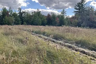 33486 Driftwood Ave, Warrens,warrens, WI 54666 - Photo 70