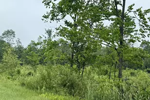 33486 Driftwood Ave, Warrens,warrens, WI 54666 - Photo 54