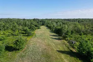 33486 Driftwood Ave, Warrens,warrens, WI 54666 - Photo 64