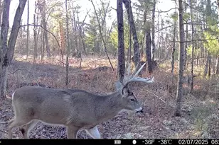 33486 Driftwood Ave, Warrens,warrens, WI 54666 - Photo 64