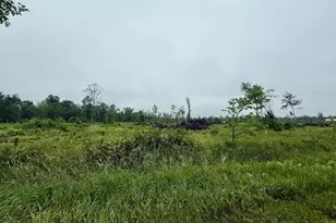 33486 Driftwood Ave, Warrens,warrens, WI 54666 - Photo 52