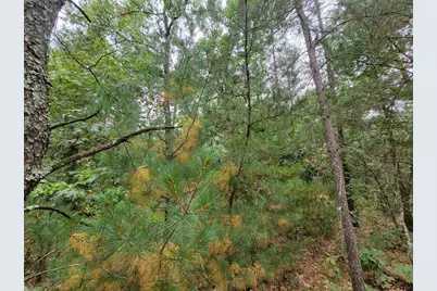 Lot 11-12 French Street, Friendship, WI 53934 - Photo 6