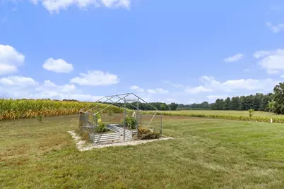 N7117 (50 Acres) Black Creek Road, Princeton, WI 54968 - Photo 10