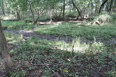 10.54 Acres County Road D, Fall River, WI 53932 - Photo 8