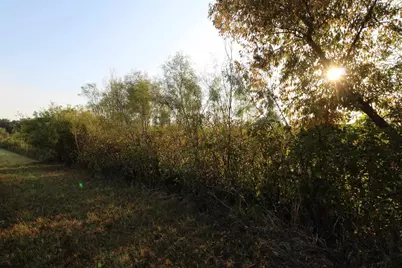 14.89 Ac 7th Drive, Montello, WI 53949 - Photo 10