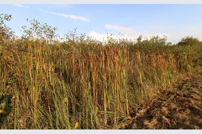 14.89 Ac 7th Drive, Montello, WI 53949 - Photo 6