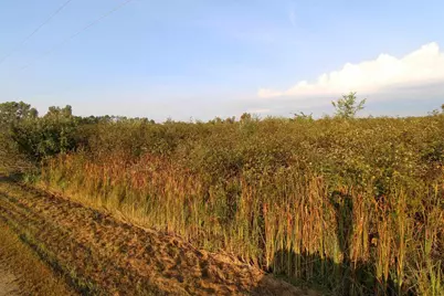 14.89 Ac 7th Drive, Montello, WI 53949 - Photo 12