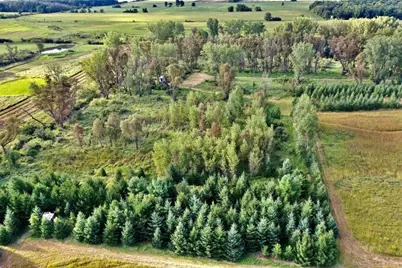 N5449 County M Road, Brandon, WI 53919 - Photo 8