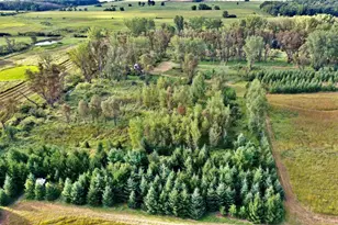 N5449 County M Rd, Brandon, WI 53919 - Photo 8