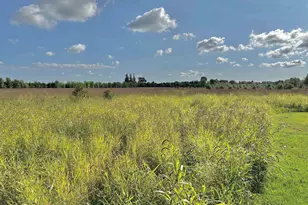 N5449 County M Rd, Brandon, WI 53919 - Photo 20