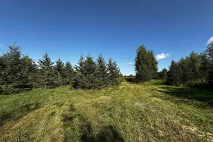 N5449 County M Rd, Brandon, WI 53919 - Photo 40