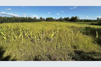 N5449 County M Road, Brandon, WI 53919 - Photo 50