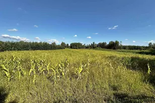 N5449 County M Rd, Brandon, WI 53919 - Photo 50