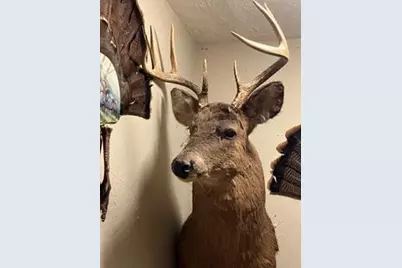 N5449 County M Road, Brandon, WI 53919 - Photo 56