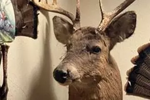 N5449 County M Rd, Brandon, WI 53919 - Photo 56