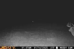 N5449 County M Rd, Brandon, WI 53919 - Photo 54