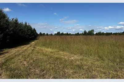 N5449 County M Road, Brandon, WI 53919 - Photo 38