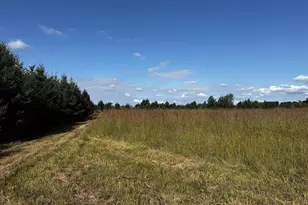 N5449 County M Rd, Brandon, WI 53919 - Photo 38