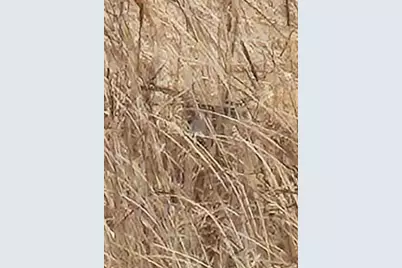 N5449 County M Road, Brandon, WI 53919 - Photo 60