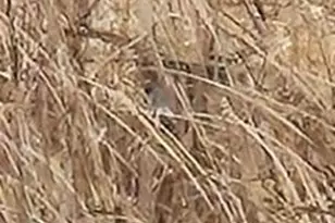 N5449 County M Rd, Brandon, WI 53919 - Photo 60