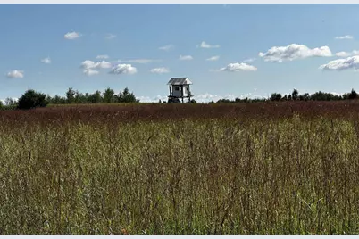 N5449 County M Road, Brandon, WI 53919 - Photo 44