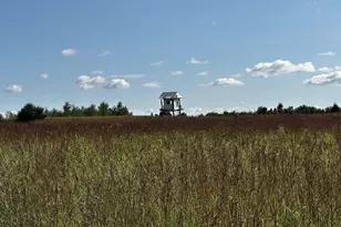 N5449 County M Rd, Brandon, WI 53919 - Photo 44