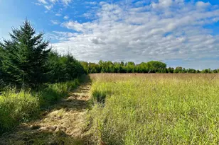 N5449 County M Rd, Brandon, WI 53919 - Photo 36