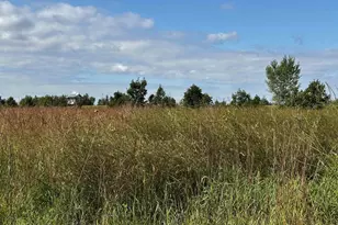 N5449 County M Rd, Brandon, WI 53919 - Photo 34