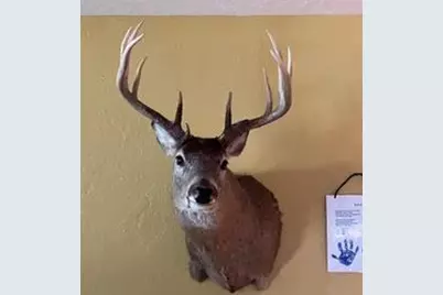 N5449 County M Road, Brandon, WI 53919 - Photo 64