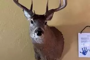 N5449 County M Rd, Brandon, WI 53919 - Photo 64