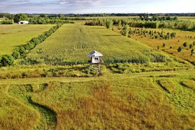 N5449 County M Road, Brandon, WI 53919 - Photo 1