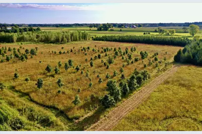 N5449 County M Road, Brandon, WI 53919 - Photo 10