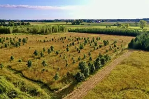 N5449 County M Rd, Brandon, WI 53919 - Photo 10