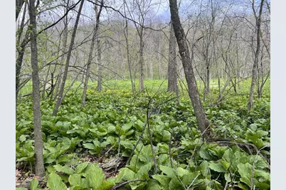 W2186 Eric Road, Markesan, WI 53946 - Photo 18