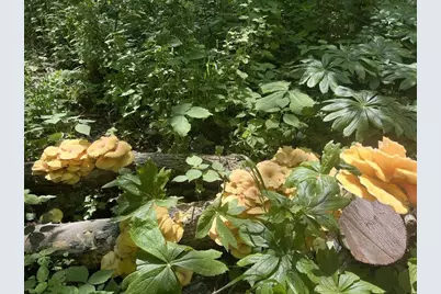 W2186 Eric Road, Markesan, WI 53946 - Photo 20