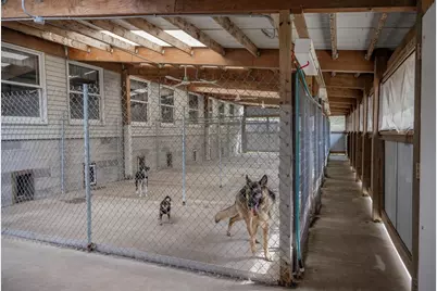 8838 County Road I, Sparta, WI 54656 - Photo 40