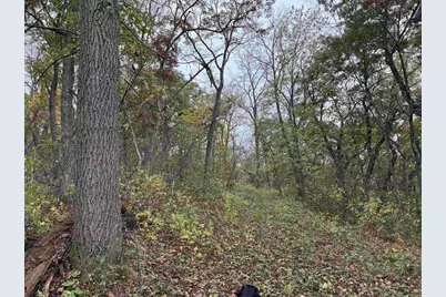 3428 Bluto Boulevard, Mount Horeb, WI 53572 - Photo 72