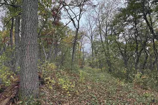 3428 Bluto Blvd, Mount Horeb, WI 53572 - Photo 72