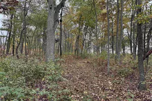 3428 Bluto Blvd, Mount Horeb, WI 53572 - Photo 76