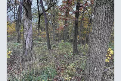 3428 Bluto Boulevard, Mount Horeb, WI 53572 - Photo 70