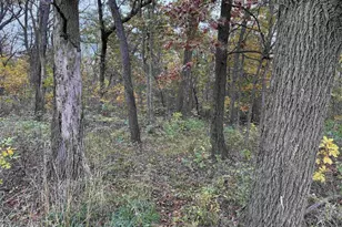 3428 Bluto Blvd, Mount Horeb, WI 53572 - Photo 70